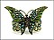 OB02638BBTOP  Butterfly With Stone Bracelet (Green)