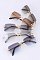 Pack of 12 RIMLESS RETRO UNISEX SUNGLASSES SET