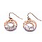 XE1522-LP Metal Wire Wrap Fish Hook Round Earring