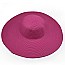 Wide Brim Straw Hat