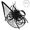 Sinamay Floral Mesh Crescent Fascinator With Feathers