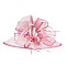 SINAMAY HAT W/ LOOPY CLUSTER CENTER LG BRIM 2 TONE SLHTS2070